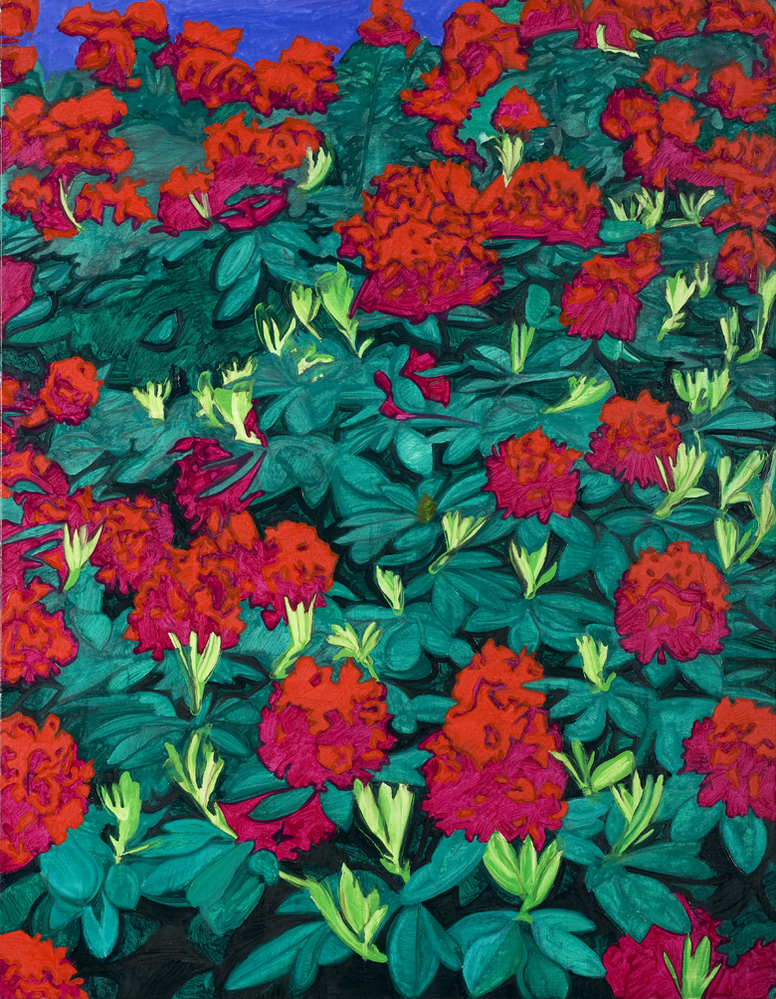 VERVALLEN Tiergarten